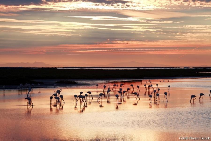 Le Mas Saint Jean Mezoargues ภายนอก รูปภาพ